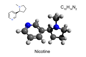 Chemical formula, skeletal formula, and 3D ball-and-stick model of nicotine, white background