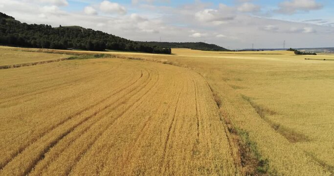 Tierra de campos 