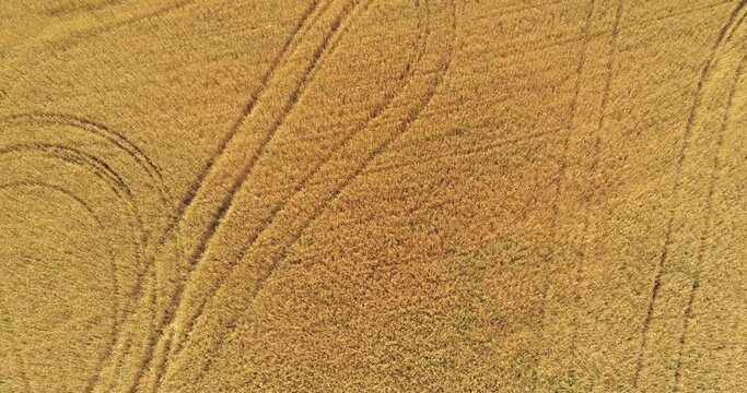 Tierra de campos 