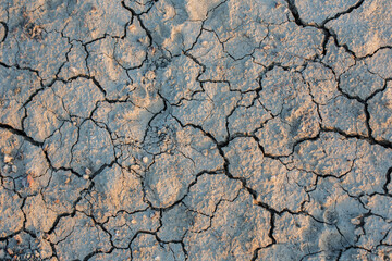 Cracked dry ground. Texture, natural abstract background