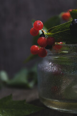 Summer berries. Collection of berries, vitamins