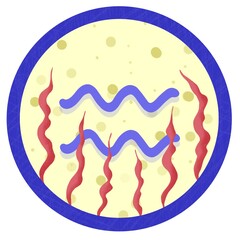 Zodiac signs for icon, avatar, social media content. Horoscope symbols. Astrology.