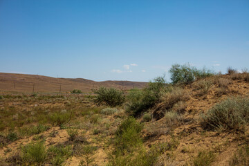 dunes in the desert