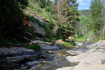 Beaver Brook Trail in Colorado