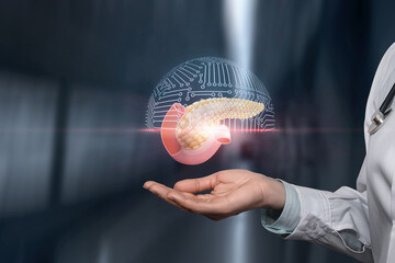 Pancreas computer research concept.