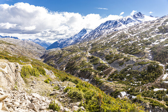 A view in early June on the Canada/USA border beside the Klondike Highway NE of Skagway, Alaska, USA - Powered by Adobe