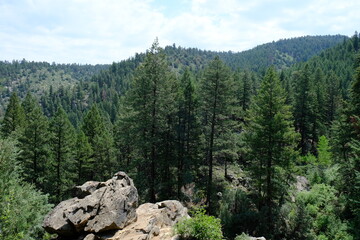 Beaver Brook Trail in Colorado