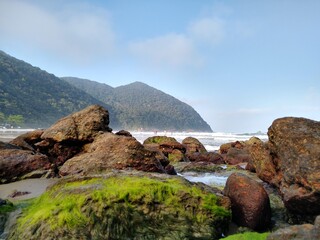 rocks on the coast