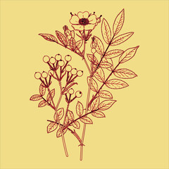 Obraz na płótnie Canvas Old Classic hand drawn Vintage plant Free download It`s perfect for fabrics, t-shirts, mugs, decals, pillows, logo, social media pattern and much more! 