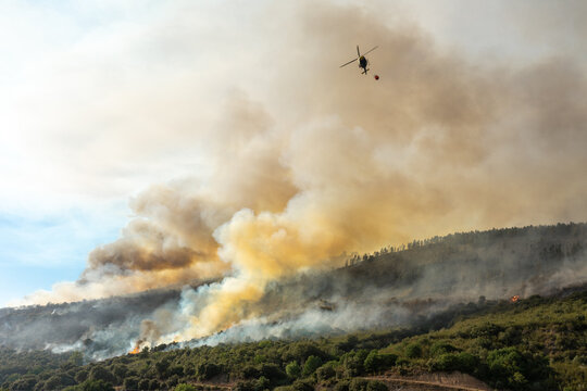 Helic&oacute;ptero de bomberos en acci&oacute;n apagando un incendio en la monta&ntilde;a, en Leon. Espa&ntilde;a.