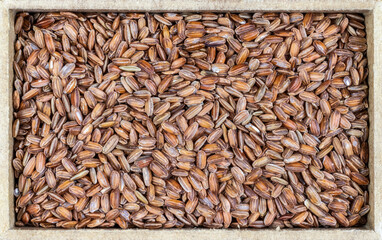 Close-up of red integral rice with selective focus on the wooden table in Brazil