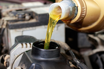 The car maintenance master pours engine oil for the car engine. Car care, engine cleanliness, car...