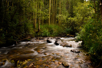 shaded Mountain River