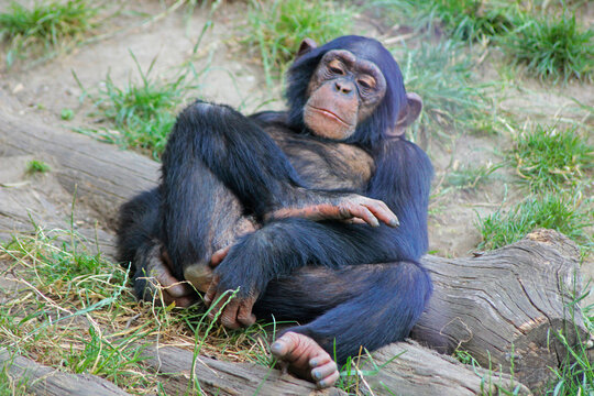 Just chillin'
