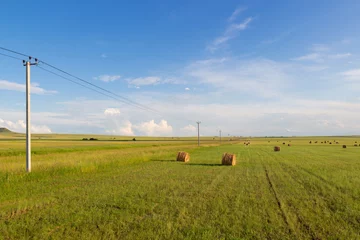 Foto op Plexiglas Summer landscape with straw bales on farmland. © Вера Тихонова