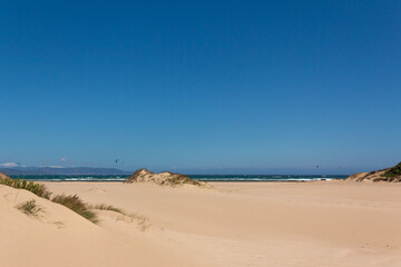 Fototapeta na wymiar Beach landscape with people kitesurfing in the background.