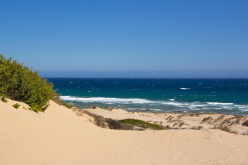 Fototapeta na wymiar Beach landscape with fine sand, clear waters and plants. Dunes. Virgin beach.