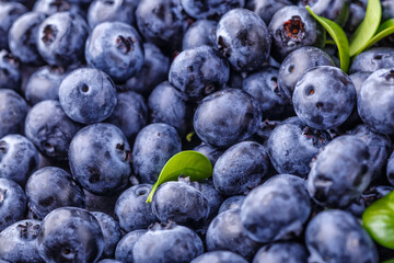 Fresh blueberry background. Blueberry Texture Close Blueberry Antioxidant Organic Superpeed Bowl Concept Healthy Nutrition