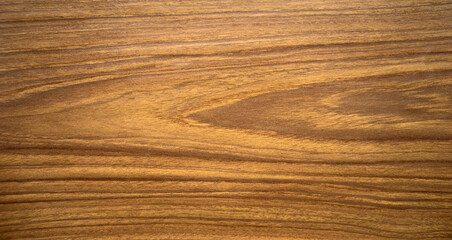The texture of the veneer in the form of a light-colored wood for use in the manufacture of...