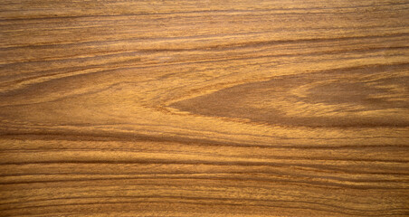 The texture of the veneer in the form of a light-colored wood for use in the manufacture of furniture