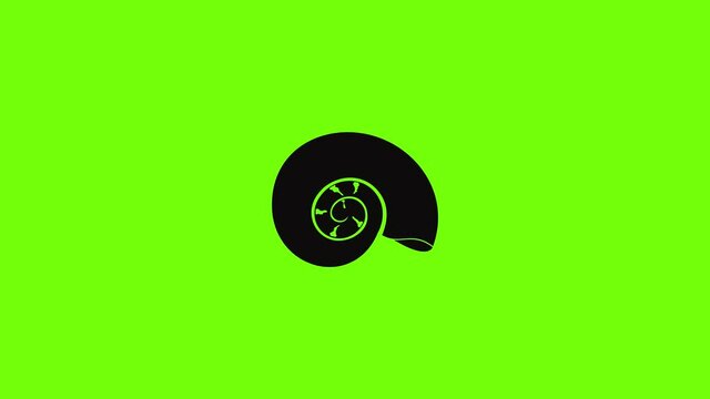 Round shell icon animation