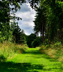 Fototapeta na wymiar Nature park In Arboretum Wespelaar