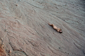 Naked woman in the desert