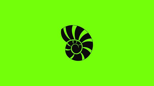Reef shell icon animation