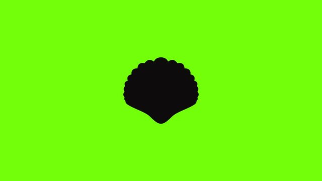 Big shell icon animation
