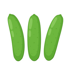 Cucumber vector. Cucumber on white background.