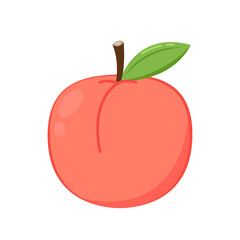 Peach vector. Peach cartoon on white background.