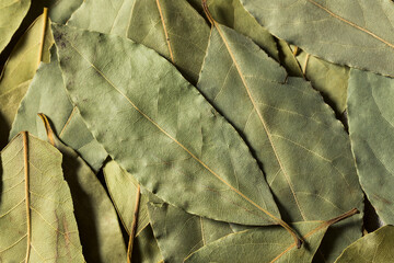 Healthy Organic Raw Bay Leaves