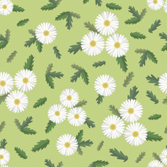 Seamless Pattern of Daisies and Leaves. Vector Illustration