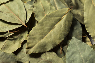 Healthy Organic Raw Bay Leaves