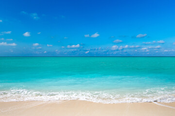 Obraz premium tropical beach in Sri Lanka . Summer holiday and vacation concept for tourism.