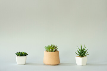 Decorative mini flowers on a gray background