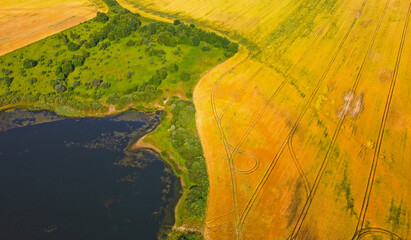 Aerial view of beautiful yellow fields and meadows in sunny summer