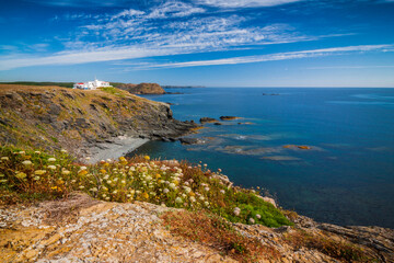 Fototapeta na wymiar Views of the coast of Menorca with blue sky