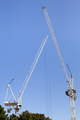 Two white construction cranes against a blue sky
