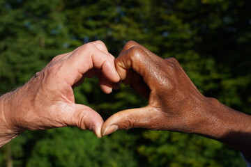 Multiracial hand heart in sunlight with green leaf background. Symbol for love, anti racism,...