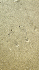Fototapeta na wymiar Close up of woman feet leaving footprints on golden sand beach, coast in sea ocean water. Vacation, travel and freedom concept. relaxing in summer