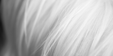 black and white background