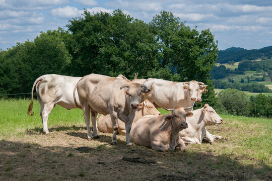 16-juillet-2021_Nature_Occitanie_©Coust