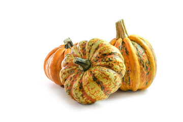 Three different food pumpkins or squashes for Halloween and Thanksgiving fresh from the market, isolated on a white background with copy space