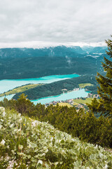 Naklejka premium Panoramic mountain view. Alpine turquoise lake, spruce forest, low clouds, and small village on peninsula in Bavaria, Germany. From the top. Foggy morning on Walchensee lake.