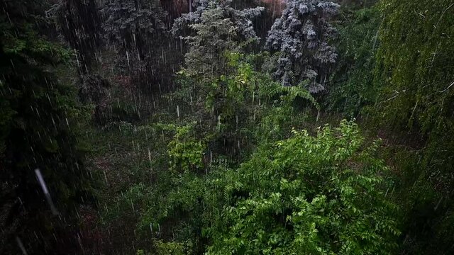 Slow motion footage of a downpour as it falls from above on the ground and trees 