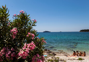 A group of young girls on the beach in the distance,oleander in bloom on the beach