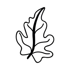 Single hand drawn leaf. Doodle vector illustration. Isolated on a white background.