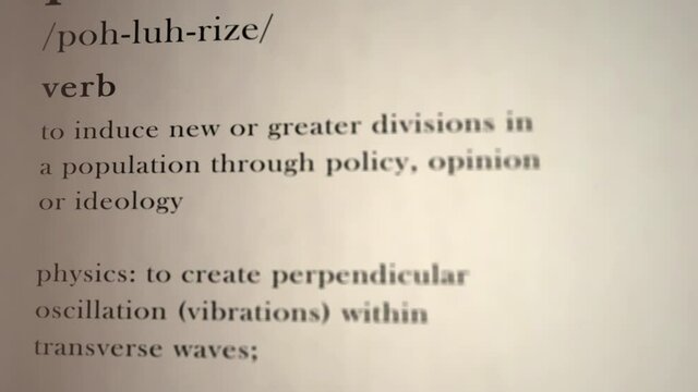 Polarize Definition