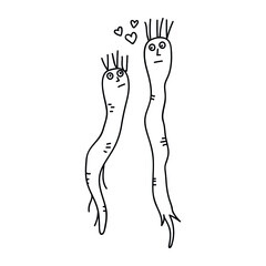 Single hand drawn two carrots in love. Doodle vector illustration. Isolated on a white background.